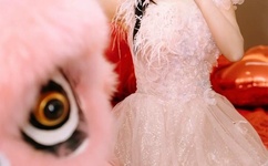 被公司领导C了好几次老板